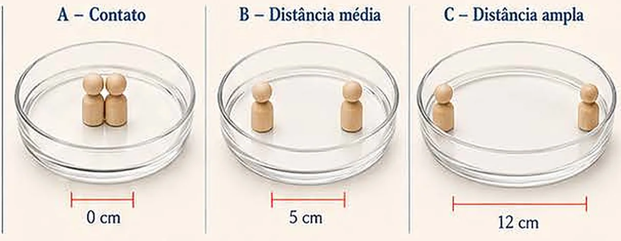 Três tigelas com duas figuras: em contato (0 cm), a distância média (5 cm) e a distância ampla (12 cm)